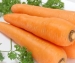 Một số mẹo làm đẹp với cà rốt