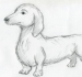 Cách vẽ một chú chó đáng yêu bằng bút chì