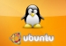 Cách mở file rar trên Linux bằng phần mềm Unrar-Free