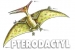 Cách vẽ thằn lằn ngón cánh Pterodactyl