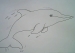 Cách vẽ cá heo bằng bút chì