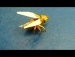 Cách xếp con ong vò vẽ Origami