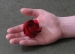 Cách xếp hoa hồng giấy tuyệt đẹp