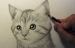 Cách vẽ con mèo bằng bút chì