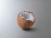 Cách vẽ quả dừa 3D