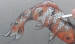 Cách vẽ cá chép Nhật Bản