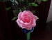 Cách xếp hoa hồng giấy cực đẹp