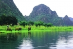 Kinh nghiệm du lịch Quảng Bình 2