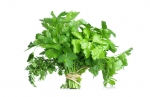 Một số loại thực phẩm tốt cho tình dục 1
