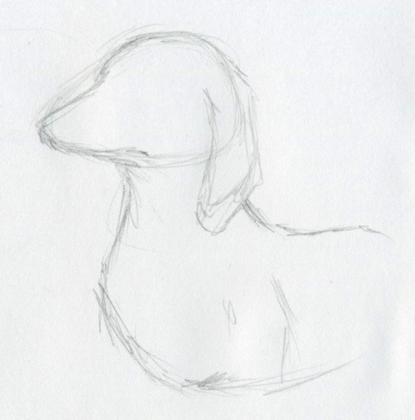 Cách vẽ một chú chó đáng yêu bằng bút chì 