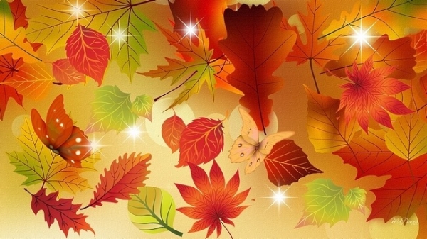 Bộ sưu tập wallpaper lá mùa thu 20