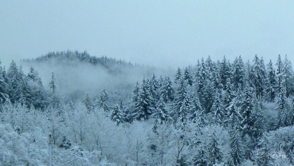 Bộ sưu tập hình nền mùa đông 2011 12