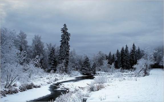 Bộ sưu tập hình nền mùa đông 2011 8