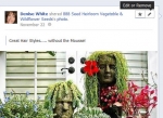 Cách kích hoạt Facebook Timeline 3