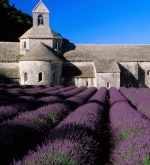 Du lịch Provence - Vùng đất mê hoặc lòng người 5